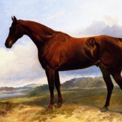 A Chestnut Hunter in a Landscape